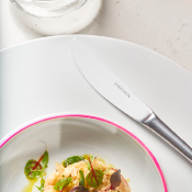 12 couteaux de table SIGNATURE